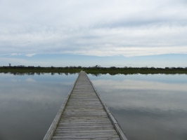 Galveston Island State Park boardwalk